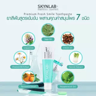 [SET 3 ชิ้น] SKYNLAB ยาสีฟันพรีเมี่ยมเฟรชสไมล์ ขนาด 160g [ป้องกันฟันผุ ลมหายใจหอมสดชื่น]