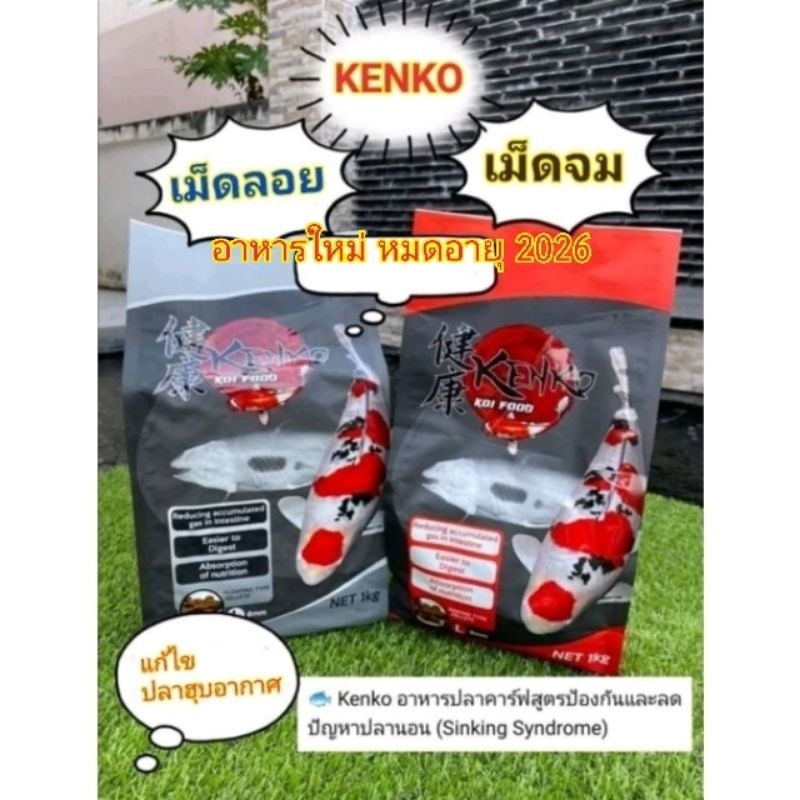 เคนโกะ (Kenko)​ ป้องกันปลา​ซิ้ง​ นอนก้น​บ่อ​ KENKO ถุง​ 1 kg. ( เม็ดลอย​ หรือเม็ดจม ) อาหารใหม่ หมดอายุ 2026