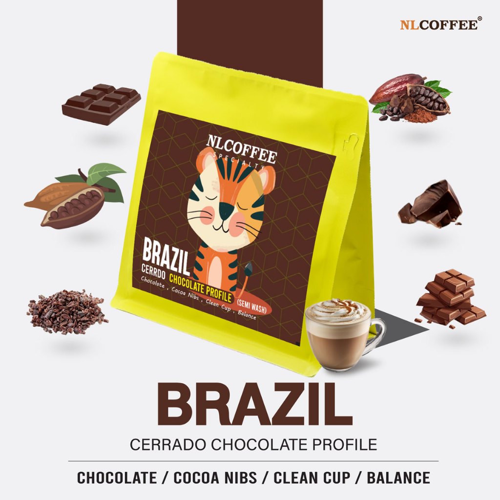 NLCOFFEE SPECIALTY เมล็ดกาแฟ Brazil  - Chocolate Profile