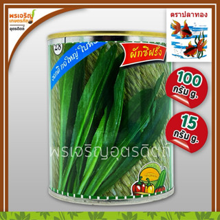 เมล็ดพันธุ์ผักชี ผักชีฝรั่ง กอใหญ่ ใบหอม (15, 100 กรัม) เมล็…