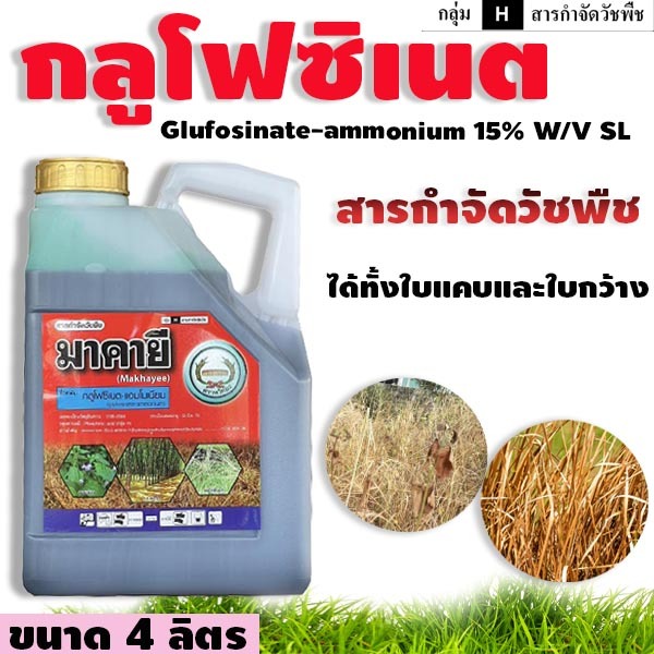 มาคายี 4 ลิตร (กลูโฟซิเนต 15% น้ำเขียวมาเธอลิควิด) (สินค้าผลิตใหม่ของแท้แน่นอน ) กำจัดใบกว้างและใบแคบ