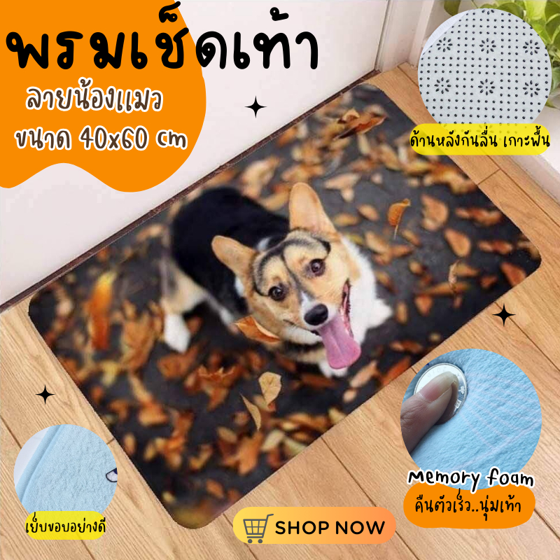 พรมเช็ดเท้าลายน้องหมา พรมเเต่งบ้าน พรมหมา ขนาด 40x60 cm