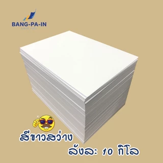 Bangpain กระดาษถ่ายเอกสาร A4 100 แกรม 10 กิโล /1 กล่อง (ประมาณ 1,600 แผ่น 3.2 รีม) ขาวสว่าง