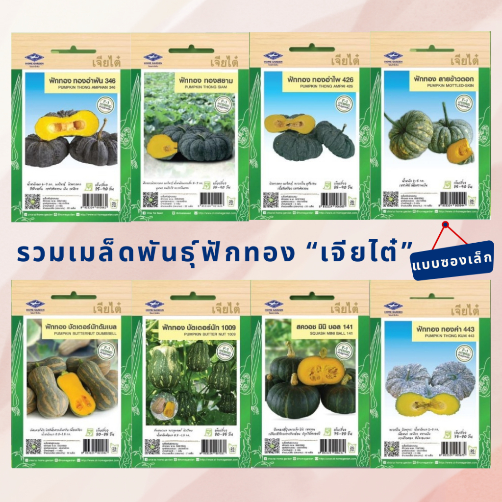 มีครบ! เมล็ดพันธุ์ ฟักทอง เจียไต๋ ทองอำไพ 426 346 ฟักทองญี่ปุ่น ทองอำพัน ทองสยาม สควอช บึงกาฬ