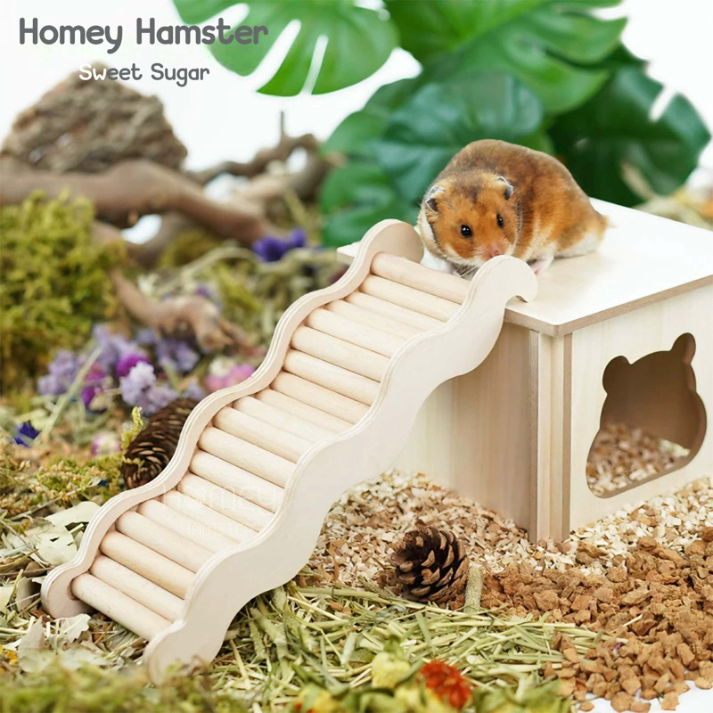 Homey Hamster บันไดแฮมสเตอร์ Sweet Sugar บ้านหลบแฮมสเตอร์ กรงแฮมสเตอร์ กล่องขุด niteangel tafit kaytee จักรวิ่ง อาหารh1