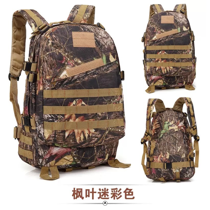 รูปภาพ 8