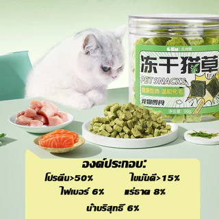 หญ้าแมวฟรีซดราย 50g ฟรีซดราย ขนมหญ้าแมว ขนมแมว ลดก้อนขน เม็ดหญ้าแมว ไม่ต้องปลูก ดีต่อสุขภาพ บำรุงขน