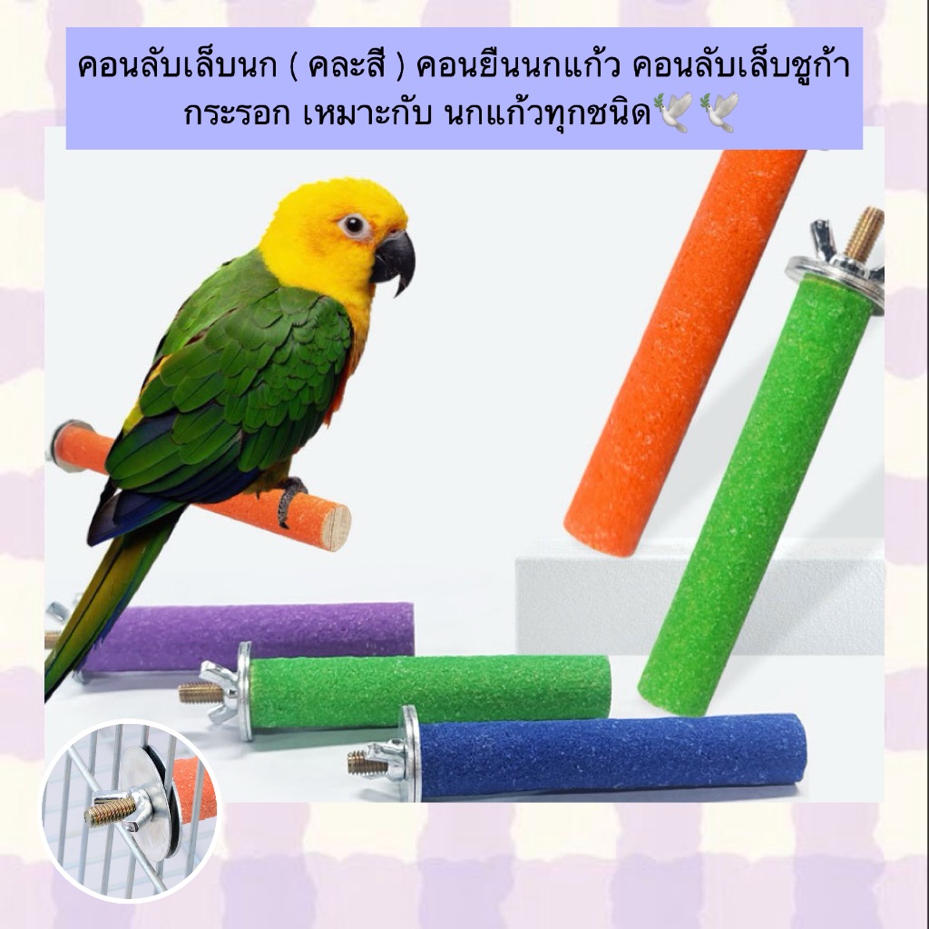 AL-894 คอนลับเล็บ คอนยืนนกแก้ว คอนนกแก้ว คอนลับเล็บนก คอนลับเล็บชูก้า กระรอก เหมาะกับนกแก้วทุกชนิด คละสี