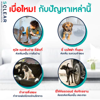 สเปรย์ฝึกสุนัขขับถ่าย ฝึกแมวขับถ่าย สูตรเข้มข้น ฝึกหมาและแมวขับถ่าย เพียงพ่น (เก็บเงินปลายทางได้ ส่งไว) ฝึกสัตว์เลี้ยง