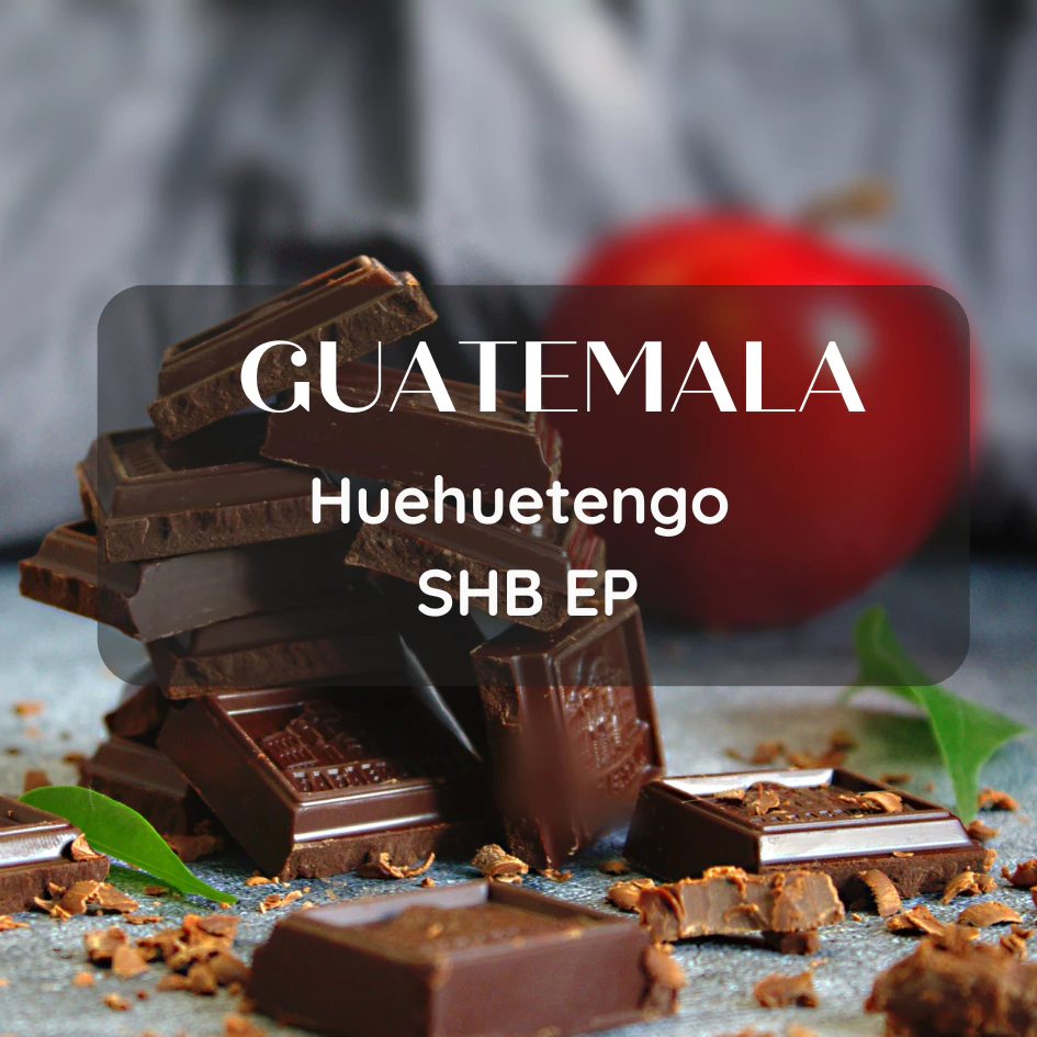 สารเมล็ดกาแฟ Guatemala Huehuetengo SHB EP 1000g