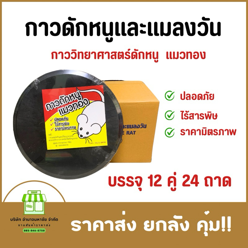 (ยกลัง 24 ถาด) กาวดักหนูตราเเมวทอง เหนียว ติดทน ไม่ไหลเยิ้ม ใช้ง่าย สะดวก ปลอดสารพิษ