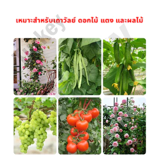 🌱พร้อมส่ง🌱 ไม้ค้ำต้นไม้ ความหนา11/16mm. โครงปลูกผัก มีสเปคที่หลากหลายให้เลือกแข็งแรง ทนทาน