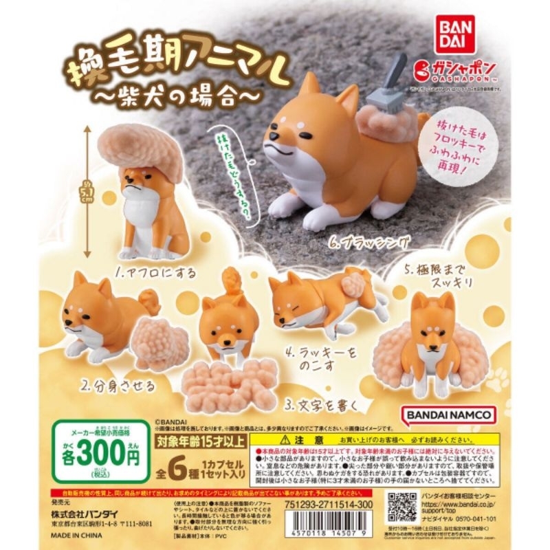 กาชาปองShedding season animals: The case of Shiba Inu