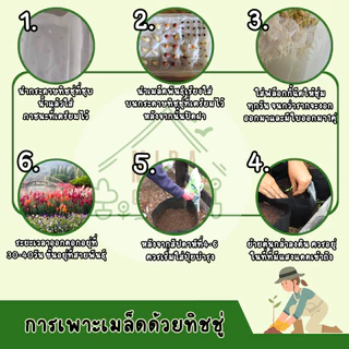 เมล็ดพันธุ์ ดอกเดลฟิเนียม บรรจุ 50 เมล็ด