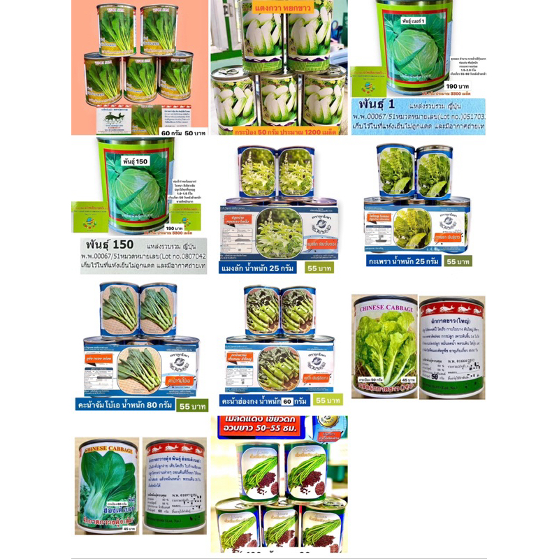 ผักกระป๋อง กวางตุ้ง คะน้า แตงกวา ฮ่องเต้ ผักกาดขาว ถั่วฝักยาว กะเพรา แมงลัก โหระพา กวางตุ้งดอก