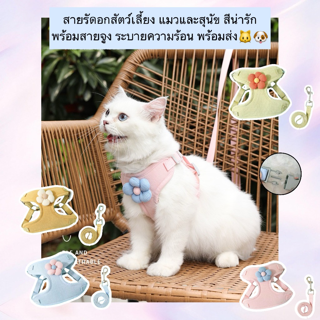 PP-1107 FLOWER HARNESS สายรัดอกแมวและสุนัข ฟรีสายจูง ระบายความร้อน พร้อมส่ง