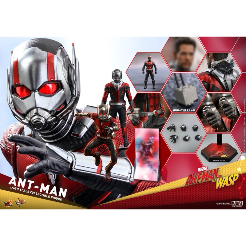 (ใหม่-NEW)HOT TOYS MMS 497 ANT-MAN AND THE WASP – ANT-MAN