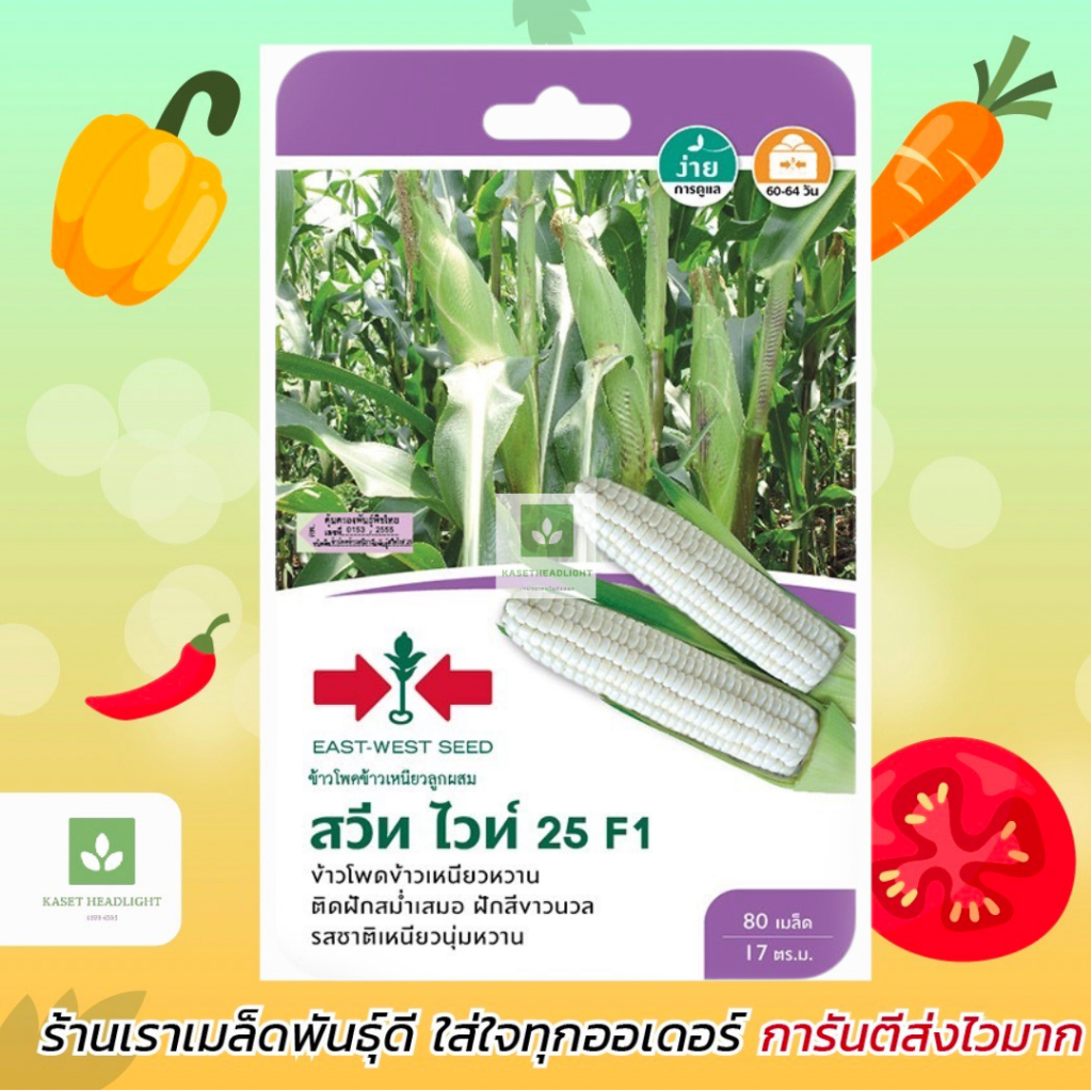 ข้าวโพดข้าวเหนียว สวีทไวท์ 25 หวานมาก ศรแดง 80เมล็ด