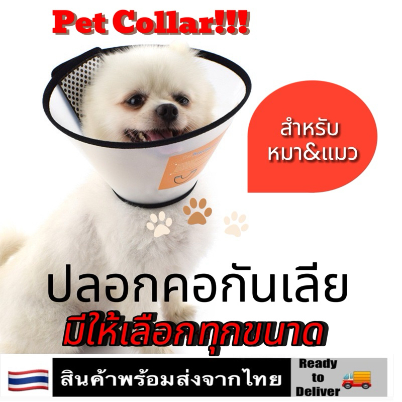 🔥ถูกที่สุด  ปลอกคอกันเลีย คอลล่าแมว🐱คอลล่าสุนัข Pet collar E Collar Wound Healing Protection Cover