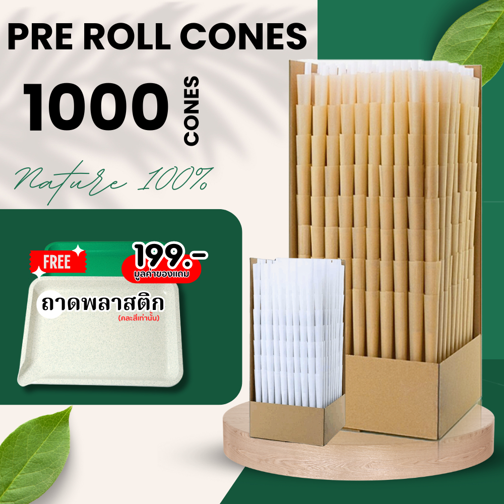 แถมฟรี ถาดพลาสติก พร้อมส่งในไทย! กระดาษกระดาษพันสำเร็จ ( BIGSIZE & MINISIZE ) 1000ชิ้น Pre-Rolled Cone
