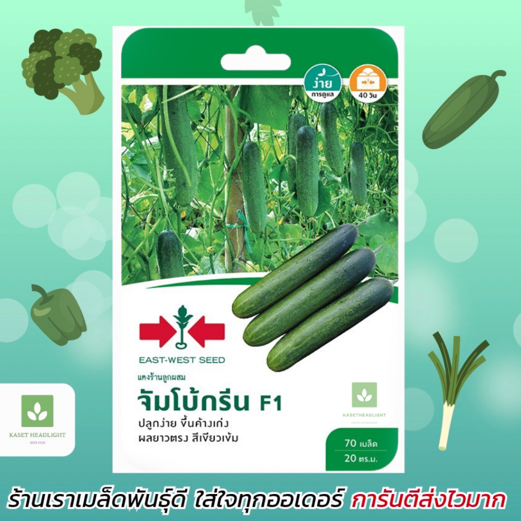 แตงร้าน จัมโบ้กรีน ศรแดง 70 เมล็ด 🥒เมล็ดพันธุ์แตงร้าน