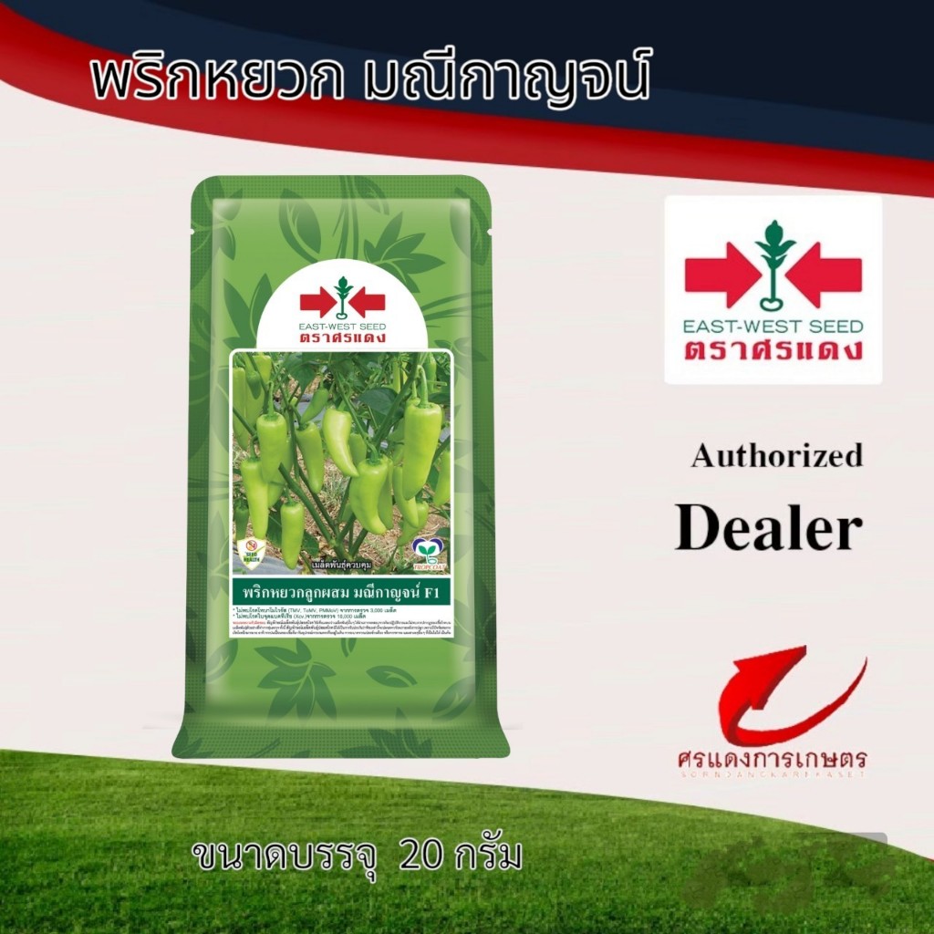 เมล็ดพันธุ์ พริกหยวกมณีกาญจน์ 20g