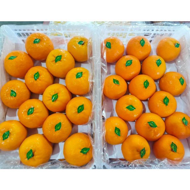 รูปภาพ 6