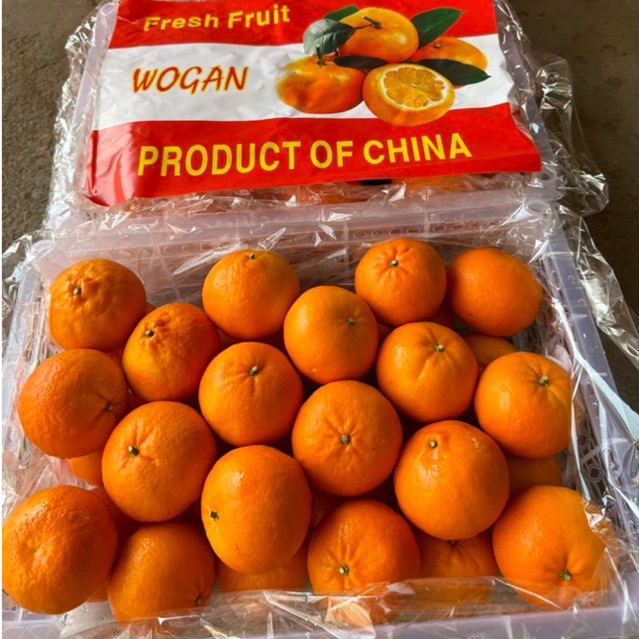 รูปภาพ 7