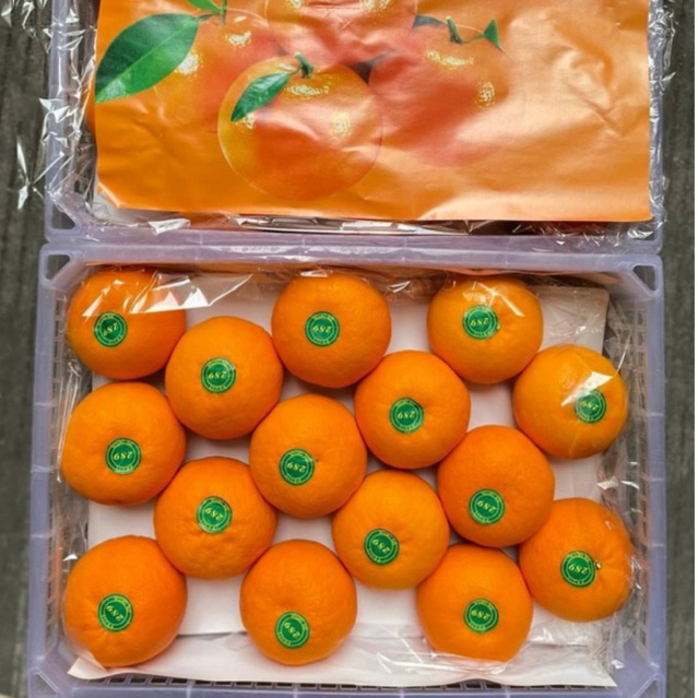 รูปภาพ 8