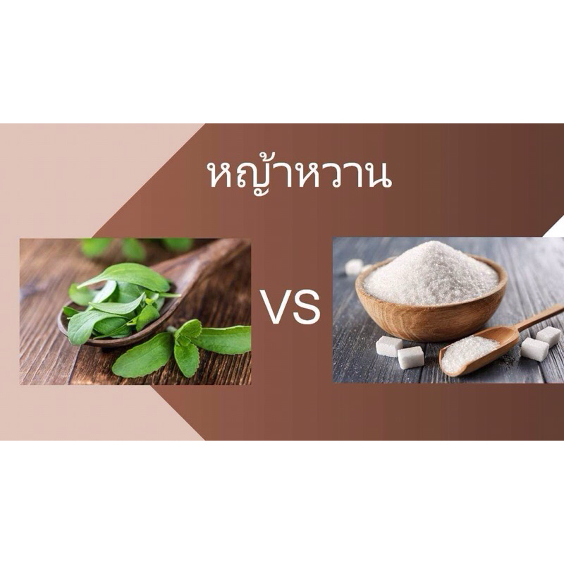 3เอสคอฟฟี่ พลัส (3S COFFEE PLUS) กาแฟปรุงสำเร็จชนิดผงเพื่อคนรักสุขภาพ - รูปที่ 5