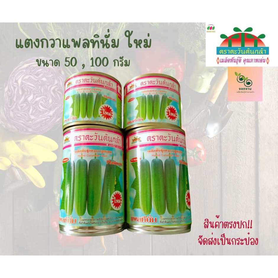 เมล็ดแตงกวา แพลทินั่มใหม่