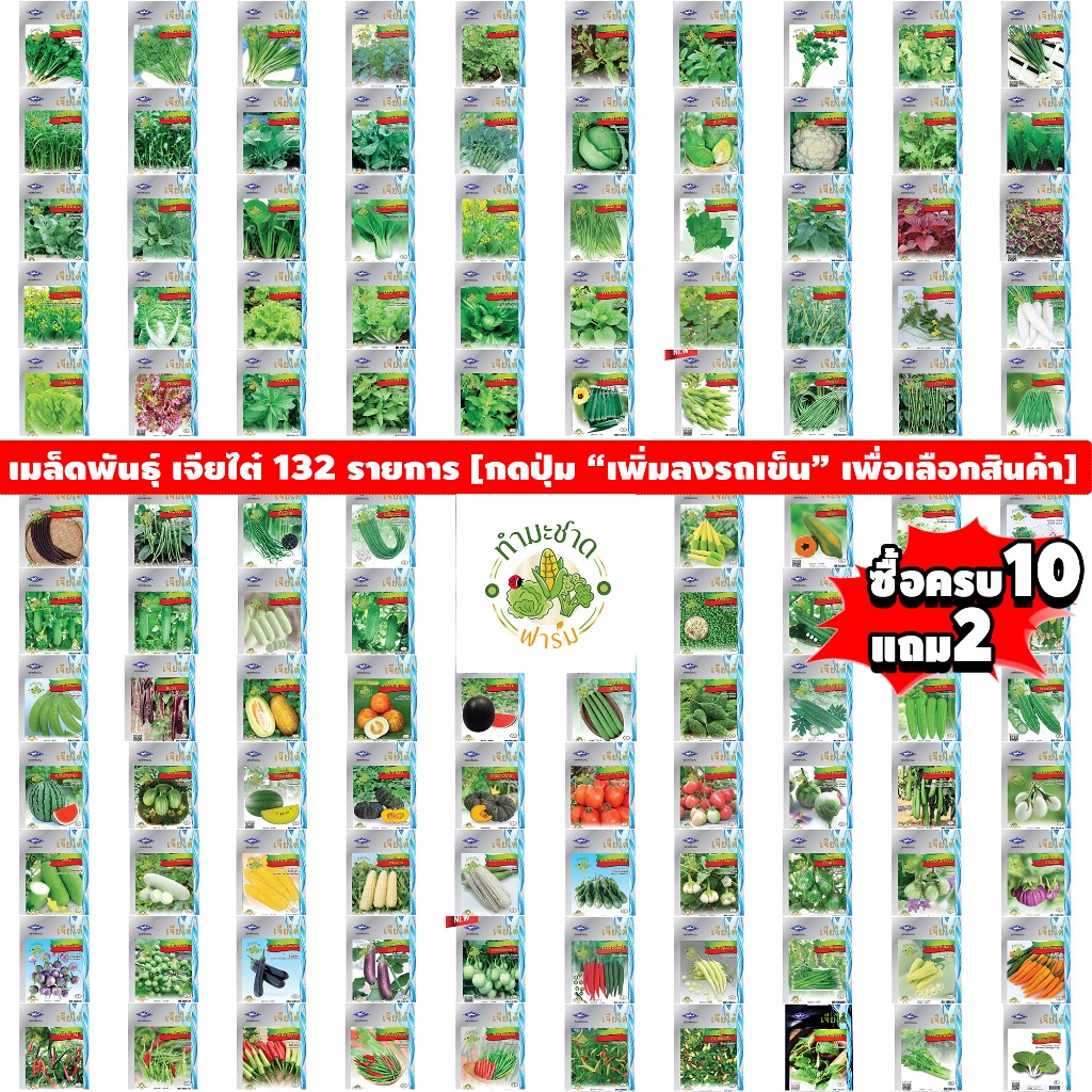 เจียไต๋ (ซื้อ10แถม1) เมล็ดพันธุ์ แตงร้านอมตะ ขนาด2กรัม ประมาณ70เมล็ด Cucumber แตงร้าน เมล็ดพันธุ์พืช เมล็ดผัก ปลูกผักสวน - รูปที่ 2