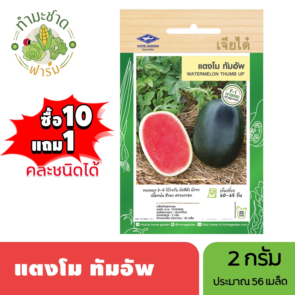 เจียไต๋ (ซื้อ10แถม1) เมล็ดพันธุ์ แตงโมทัมอัพ ขนาด2กรัม ประมาณ56เมล็ด Watermelon แตงโม เมล็ดพันธุ์พืช เมล็ดผัก ปลูกผักสวน