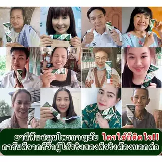 กาญชัย ยาสีฟัน ขนาด 60 g. เเก้ปวดฟัน เสียวฟัน ฝันผุ ฟันเหลือง หินปูน Kanchai