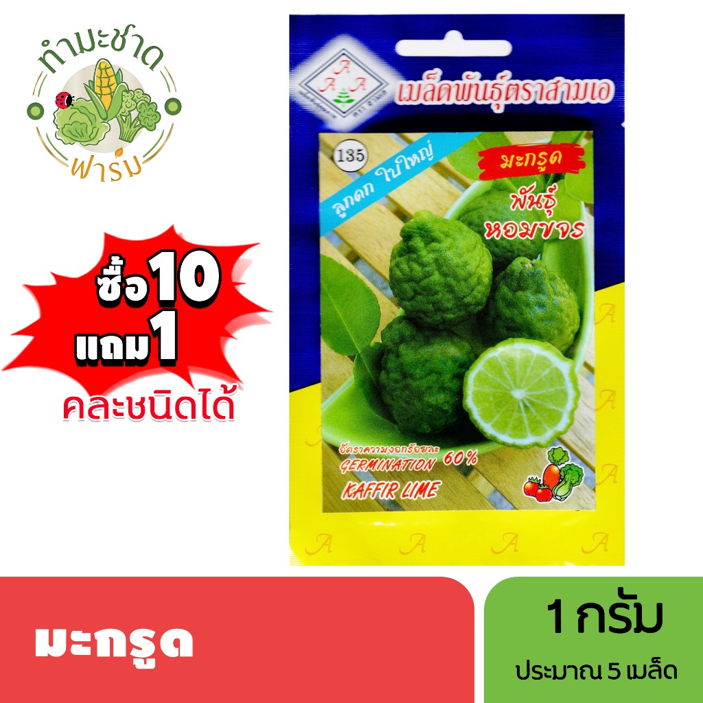 3A (ซื้อ10แถม1) เมล็ดพันธุ์ มะกรูด ขนาด1กรัม ประมาณ5เมล็ด KAFFIR LIME Bergamot มะขูด ส้มกรูด เมล็ดพันธุ์พืช เมล็ดผัก