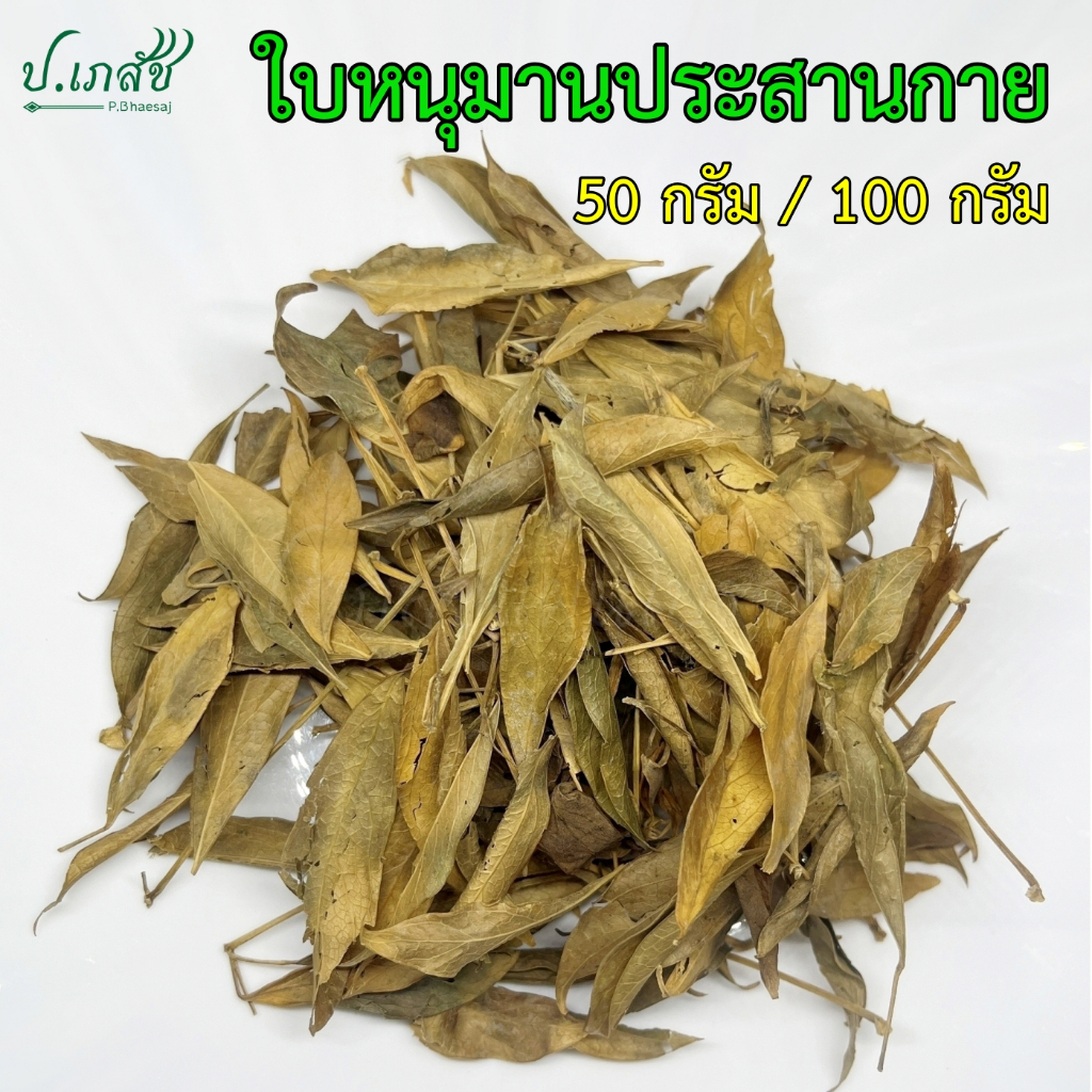 ใบหนุมานประสานกาย [50 กรัม / 100 กรัม] หนุมานประสานกาย ใบหนุมาน