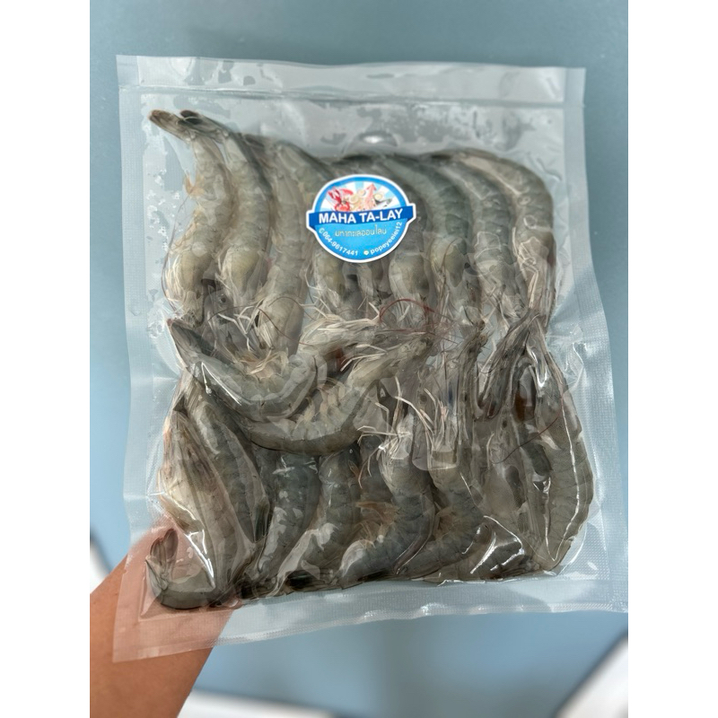 กุ้งขาวสดจากบ่อเลี้ยงเอง