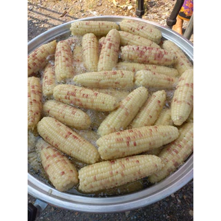 🌽พร้อมส่ง🌽ข้าวโพดข้าวเหนียว เกรดส่งห้าง รสชาติเหนียวหนึบ หวาน อร่อย สินค้า OTOP ไร่ภัสทิวา ตัดสดใหม่ทุกวัน