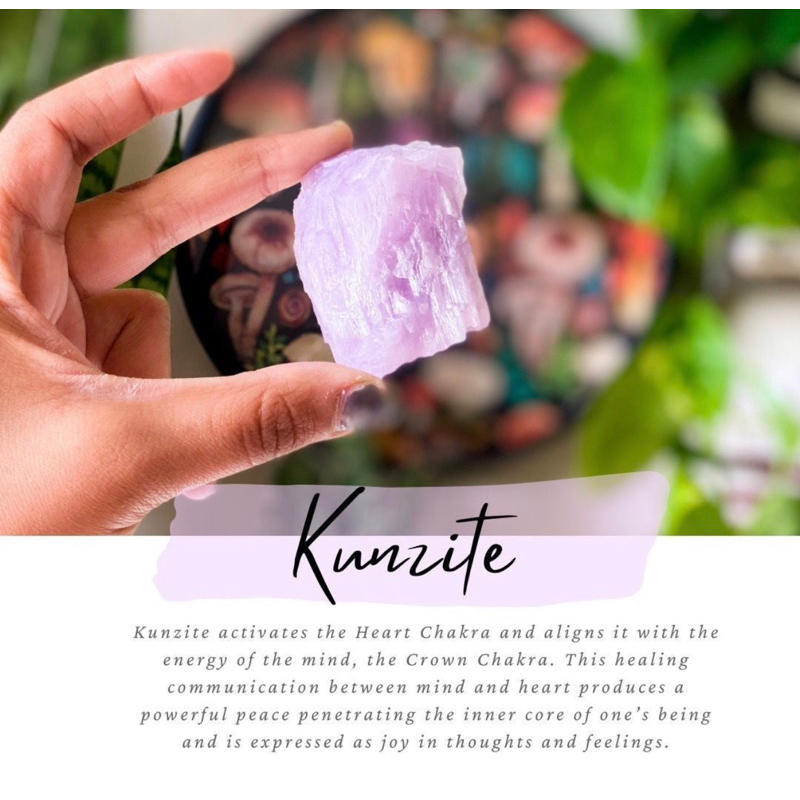 1 PC Natural Raw Purple Kunzite 2-4 cm Top High Premium Grade Quality Kunzite Real Untreated Purple 