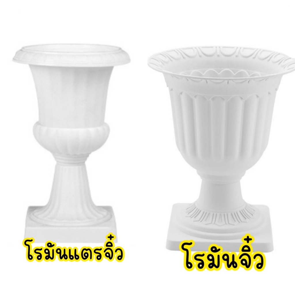 โรมันแตรจิ๋ว,โรมันจิ๋ว กระถางโรมันทรงจิ๋ว
