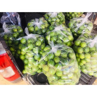 มะนาวไร้เม็ดปลอดสาร แพ็คละ12ลูก(Limes, tablets, free from substances, 12 pieces per pack)