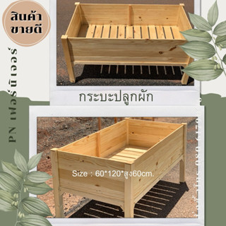 บริษัทรับจัดสวนสั่งจำนวนมากมีราคาส่ง พีเอ็นเฟอร์นิเจอร์โคราช…