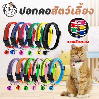 ปลอกคอ ปลอกคอแมวตัวล็อคธรรมดา มีแถบสะท้อนแสง  สีสันสดใส พร้อ…