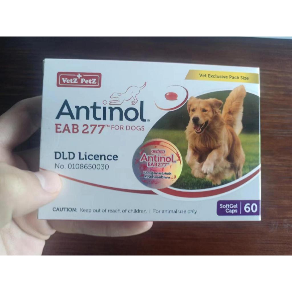 Antinol DOG ช่วยบำรุงข้อ กระดูก ขน ผิวหนัง และไต(1 กล่อง 60 caps) สำหรับสัตว์เลี้ยง EXP.08/2025