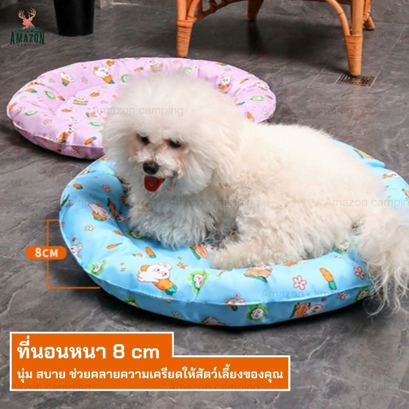 ที่นอนเจลเย็นสำหรับสัตว์เลี้ยง หนา 8ซม. นุ่ม สบาย ช่วยคลายความร้อน ราคา ถูกที่สุด ดีลบีเคเค แกลเลอรีภาพที่ 2