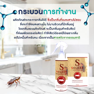 ไล่แมลงสาบ SClear สเปรย์ไล่แมลงสาบ (เก็บเงินปลายทาง ส่งไว) สูตรเข้มข้น