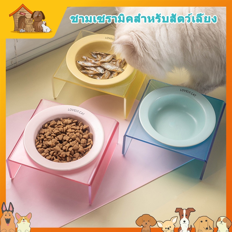 ชามอาหารสัตว์เลี้ยงเข้ากันกับสีมาการอง ชามอาหารแมวเซรามิก ขาตั้งอะครีลิค สําหรับสัตว์เลี้ยง สุนัข แมว