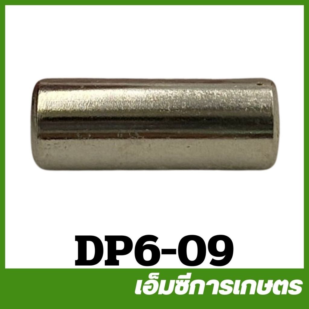 DP6-09 สลักก้านลูกสูบ 6 หุน ปั๊มพ่นยาตราเพชร