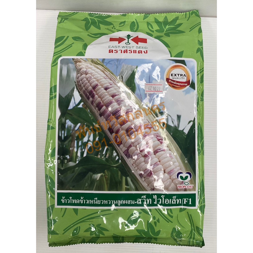 สวีทไวโอเล็ท ข้าวโพด 1KG