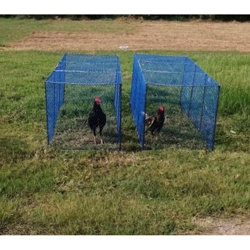 ลู่วิ่งไก่ชน1คู่(2ชิ้น)